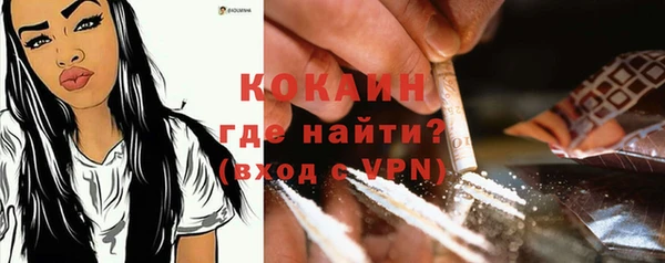 шишки Абаза