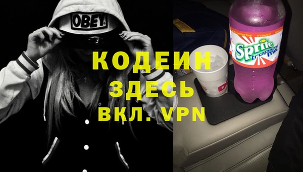 шишки Абаза