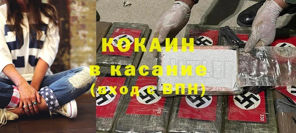шишки Абаза