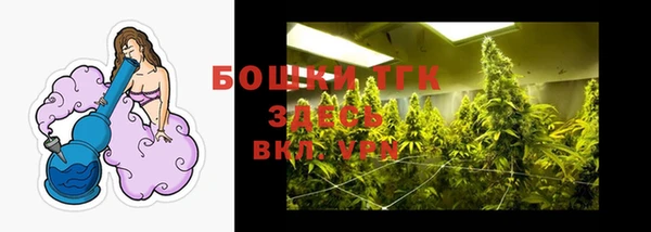 стаф Пересвет