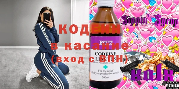 шишки Абаза
