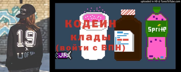 шишки Абаза
