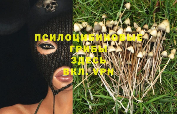 спиды Пестово