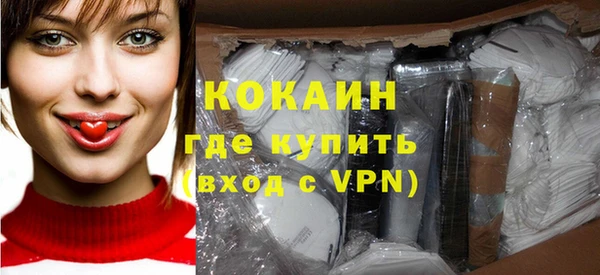шишки Абаза