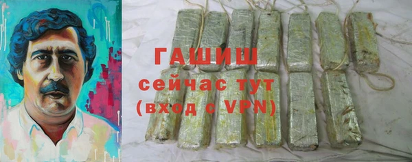 шишки Абаза