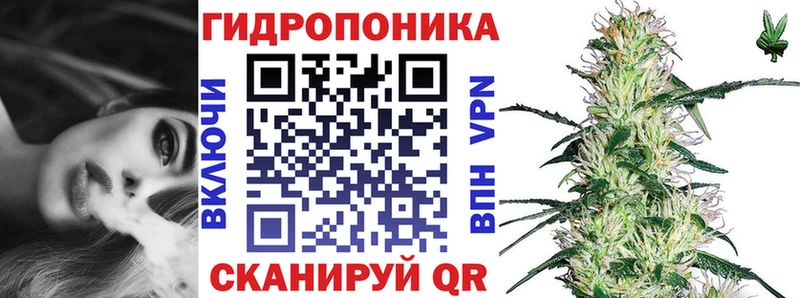 где продают наркотики  Апшеронск  Бошки Шишки индика 
